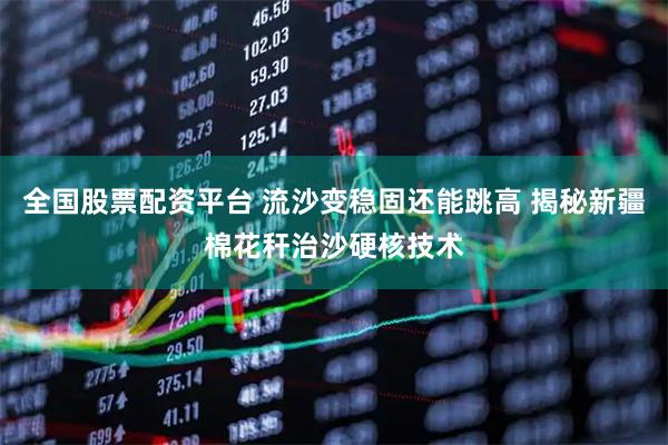 全国股票配资平台 流沙变稳固还能跳高 揭秘新疆棉花秆治沙硬核技术
